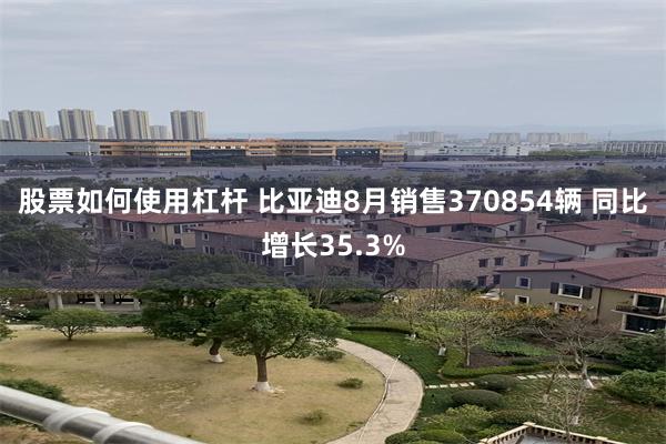 股票如何使用杠杆 比亚迪8月销售370854辆 同比增长35.3%