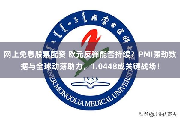 网上免息股票配资 欧元反弹能否持续？PMI强劲数据与全球动荡助力，1.0448成关键战场！