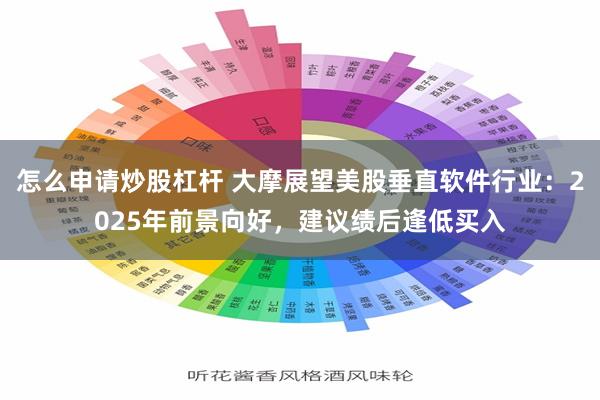 怎么申请炒股杠杆 大摩展望美股垂直软件行业：2025年前景向好，建议绩后逢低买入