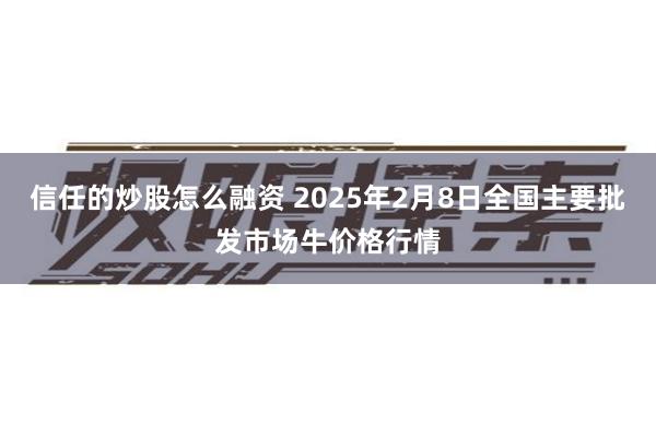 信任的炒股怎么融资 2025年2月8日全国主要批发市场牛价格行情